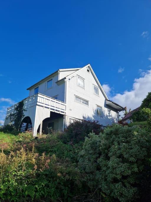 Madsgard Villa Etnesjoen Eksteriør billede