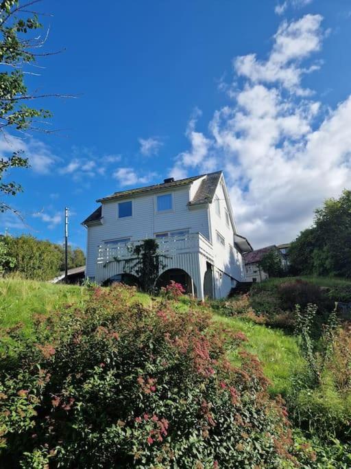 Madsgard Villa Etnesjoen Eksteriør billede
